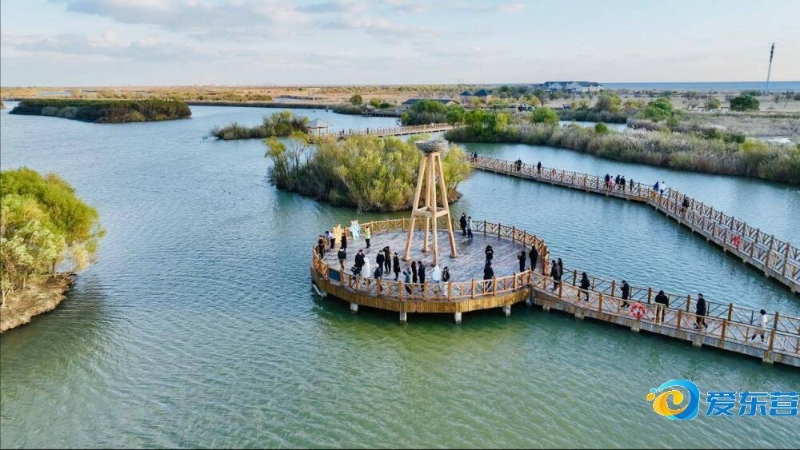 一贯的战术 一贯的战术